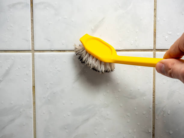 Home Mold Removal in Vass, NC